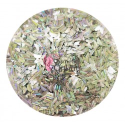 Decor pentru unghii NADP045MM Decoratiuni holografice LR17 Argintii cu Reflexii - Fluturasi